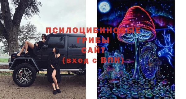 шишки Алзамай