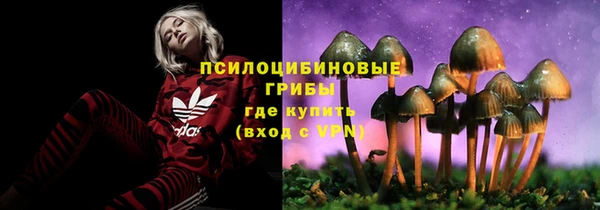 шишки Алзамай
