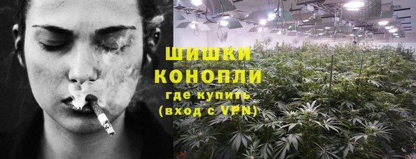 шишки Алзамай